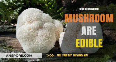 Unveiling the Ancient Discovery of Edible Mushrooms: A Culinary Journey