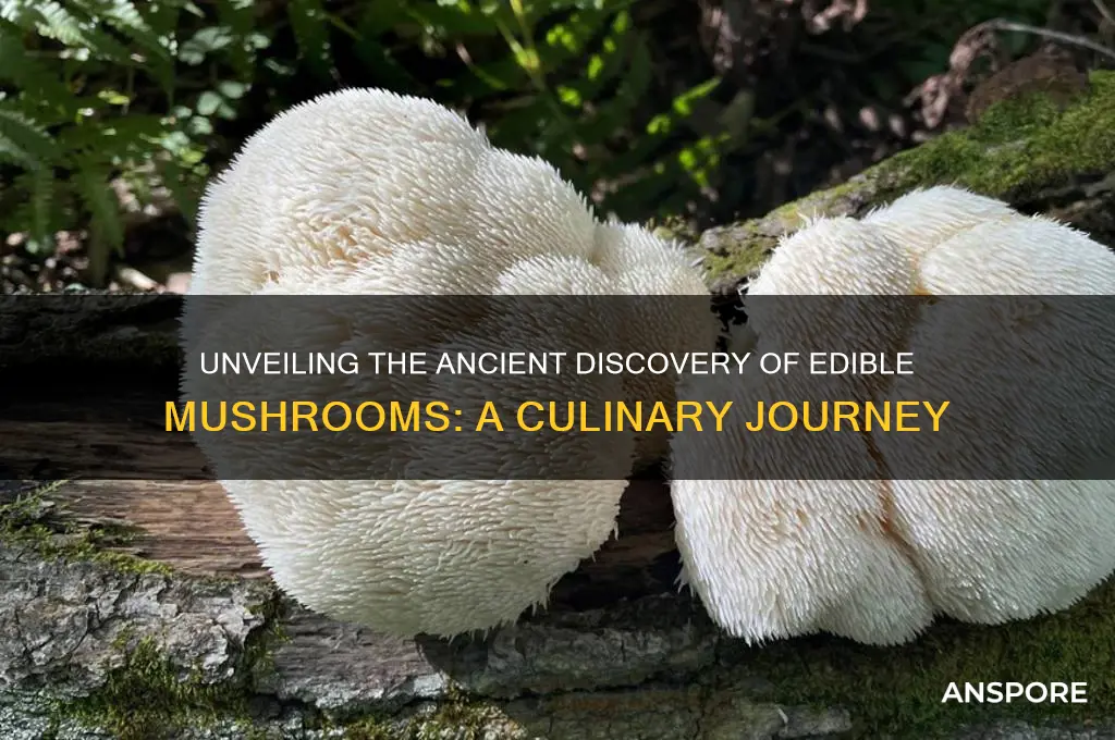who discovered mushrooms are edible