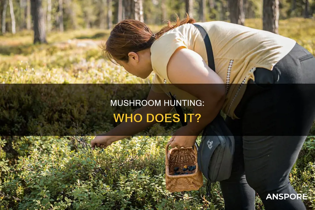 who does mushrooms