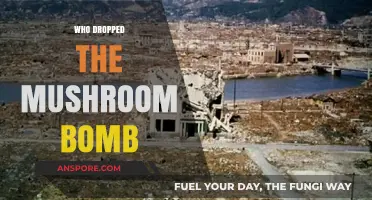 The Mushroom Cloud: Who Dropped the Atomic Bomb?