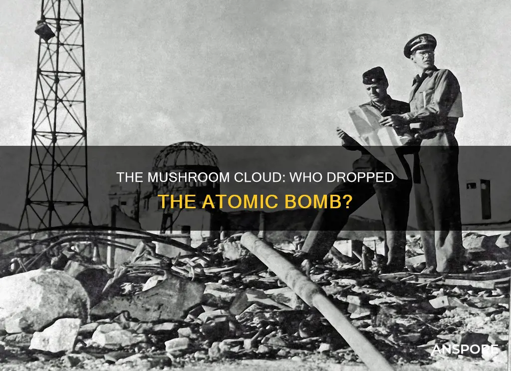 who dropped the mushroom bomb