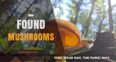 Mushroom Discovery: Who Unveiled This Mystery?