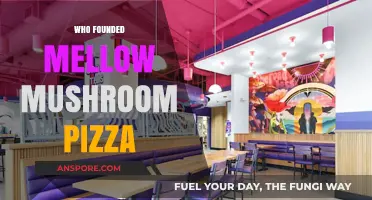 The Founding of Mellow Mushroom Pizza