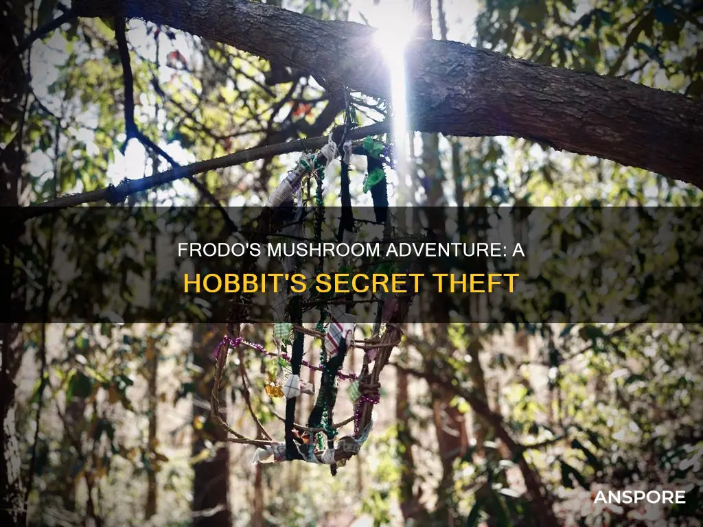 who frodo stole mushrooms from