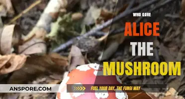 Alice's Mushroom Trip: Who Was the Giver?