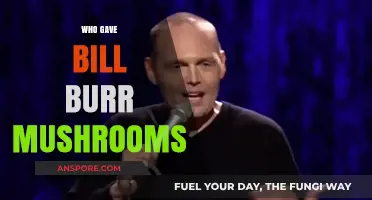 Bill Burr's Mushroom Trip: Who Was the Giver?