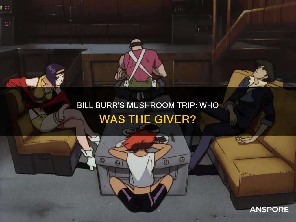 who gave bill burr mushrooms