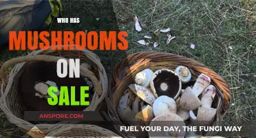 Mushroom Deals: Where to Find Sales