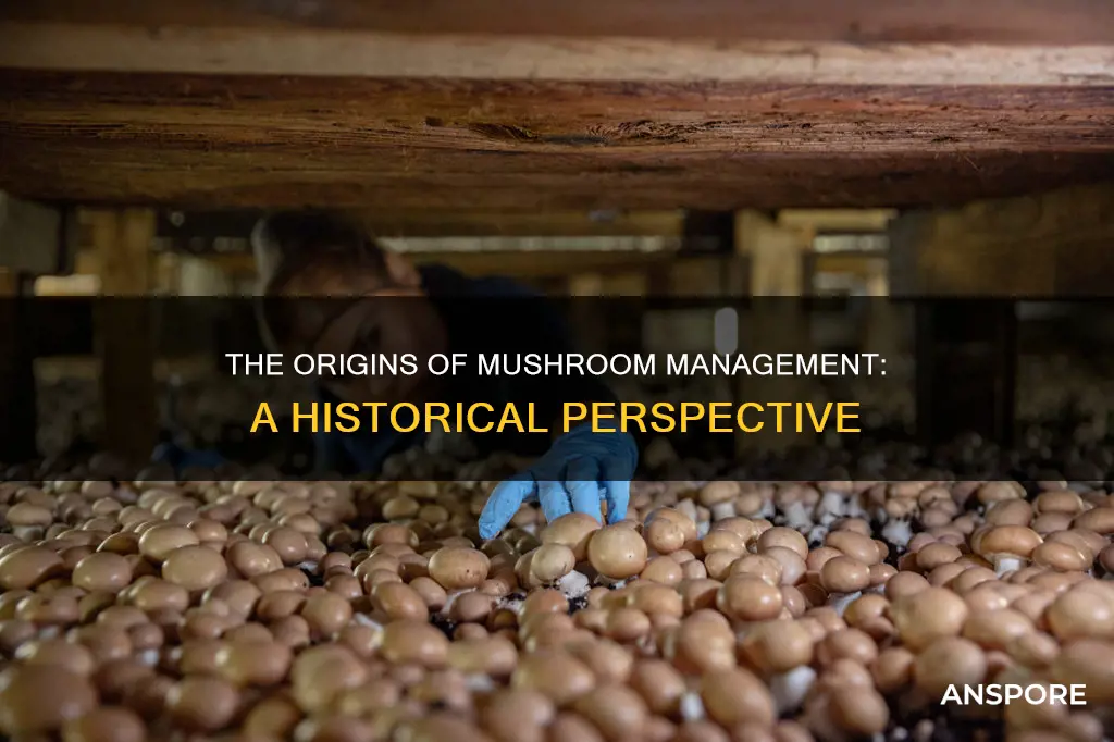 who invented mushroom management