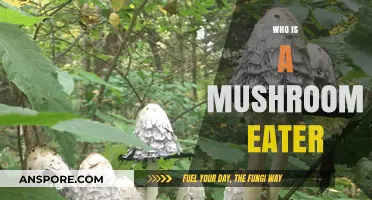 Who is a Mushroom Eater? Exploring the Myco-Curious Community