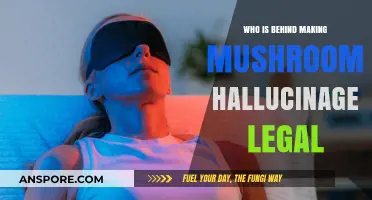 Unveiling the Advocates Driving Legalization of Psychedelic Mushrooms