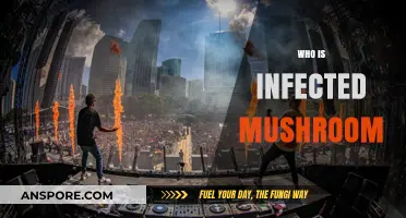 Infected Mushroom: The Electronic Music Duo