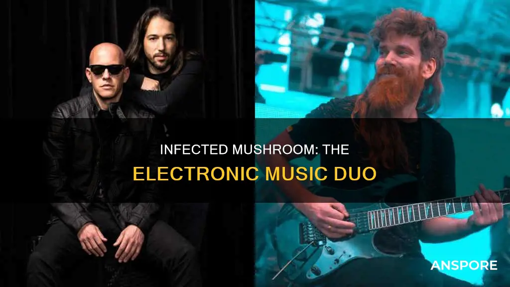 who is infected mushroom