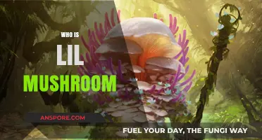 The Rise of Lil Mushroom: Unveiling the Mystery
