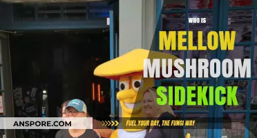 Meet Hootie: Mellow Mushroom's Fun-Guy Sidekick
