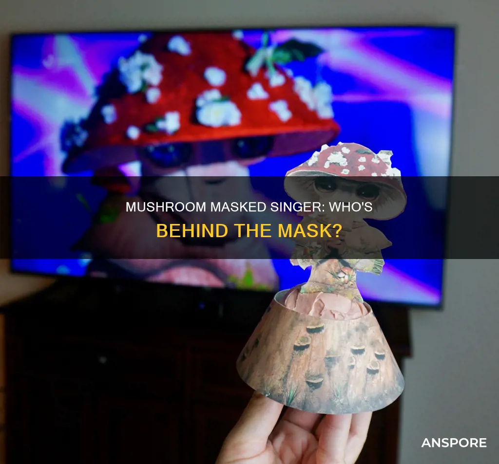 who is mushroom masked singer