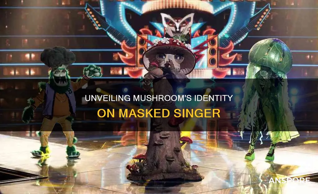 who is mushroom on masked