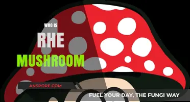 Mushroom Mystery: Who Are They?