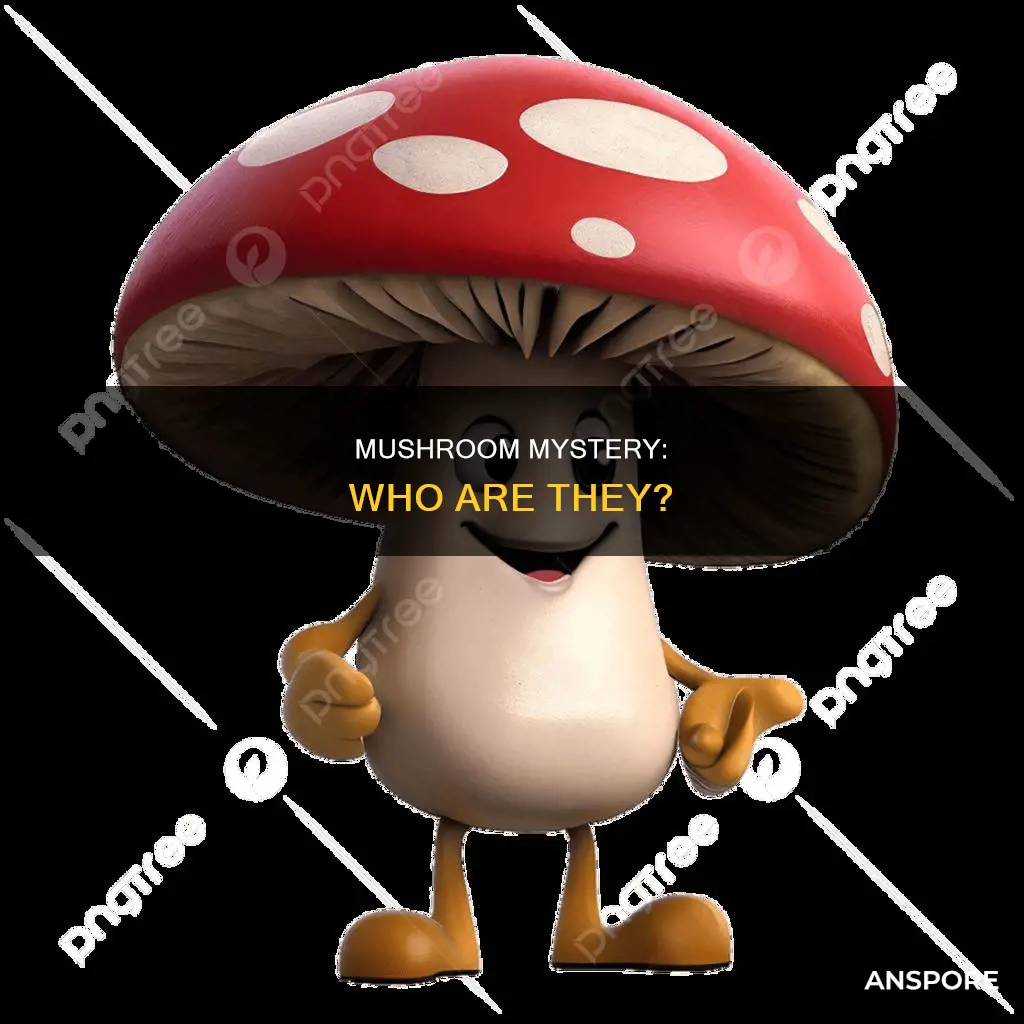 who is rhe mushroom
