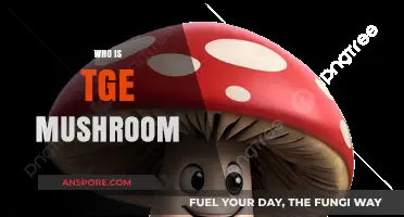 Mushroom Mystery: Who's the Real Fungi?