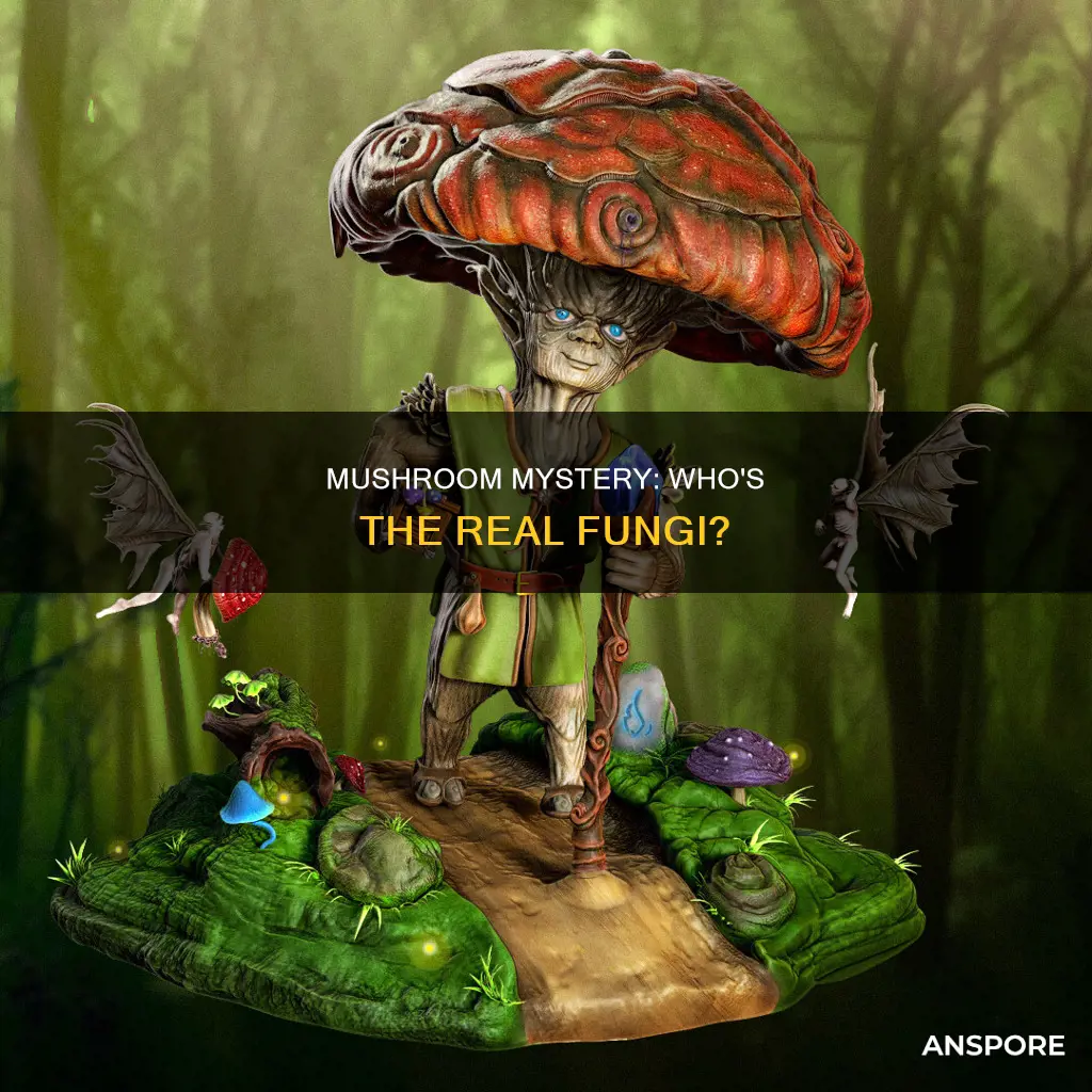 who is tge mushroom