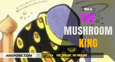 Mushroom King: Who is the Ruler?