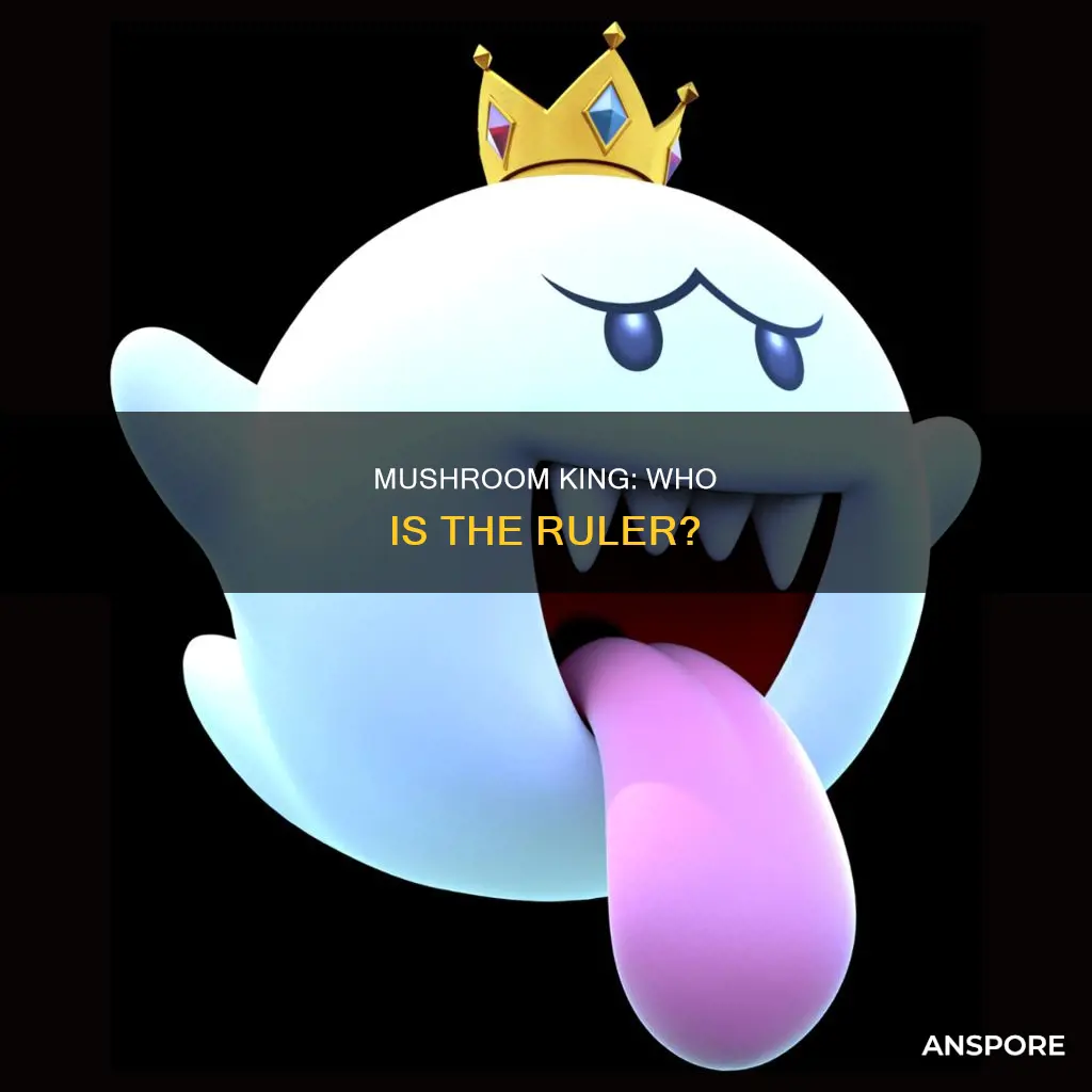 who is the mushroom king