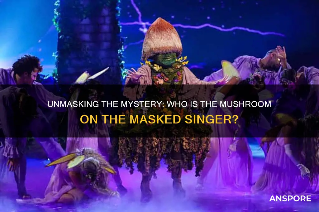 who is the mushroom on the masked singer