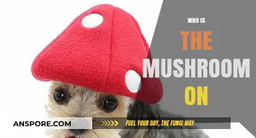 Mushroom Mystery: Who's Hiding Under the Cap?