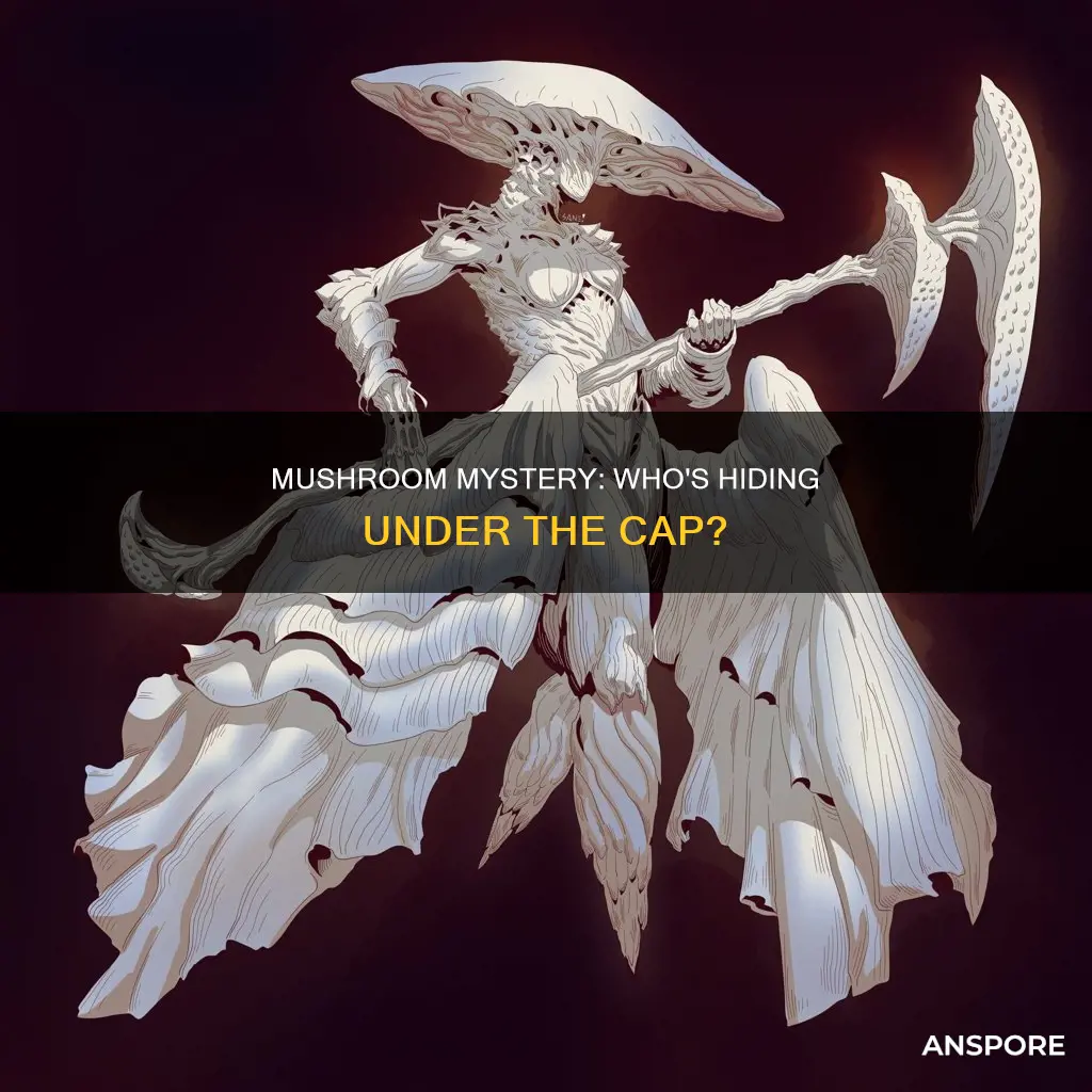 who is the mushroom on