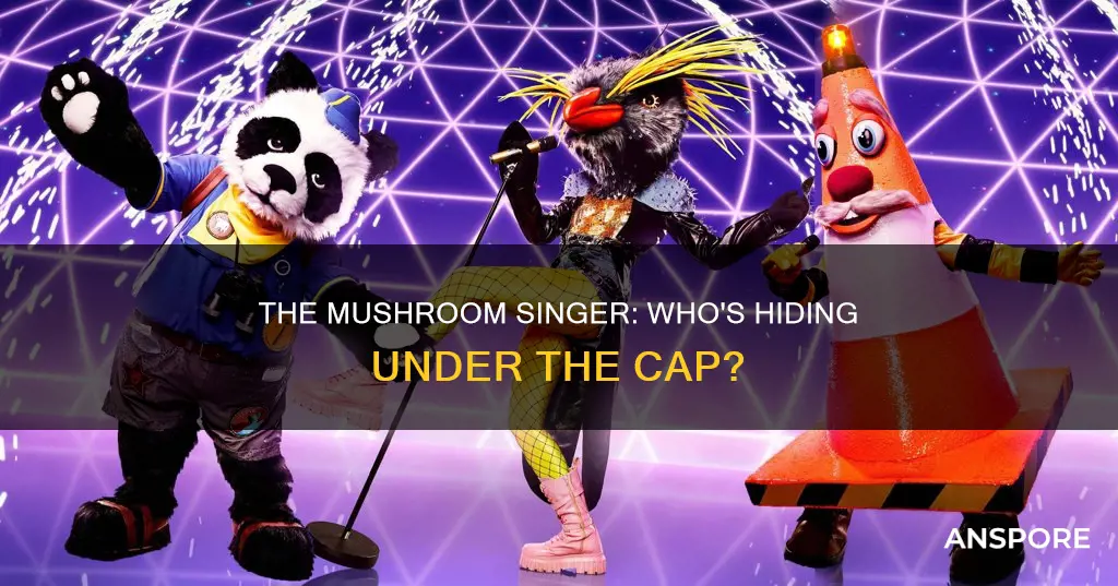who is the mushroom singer