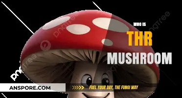 Mushroom Mystery: Who is the Real Fungus?