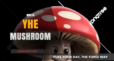 Mushroom Mystery: Unveiling the Fungi's Secrets