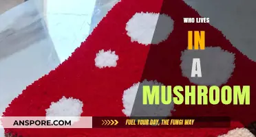 Mushroom Dwellers: Who Lives in These Fungi?