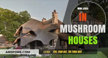 Mushroom Houses: Who Calls Them Home?