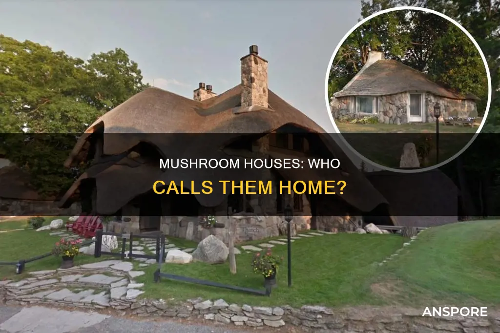who lives in mushroom houses