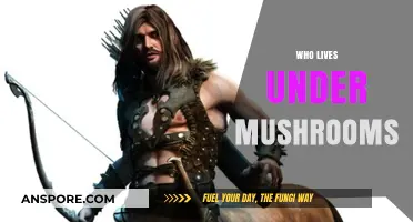 Mushroom Denizens: Who Lives Under These Fungi?