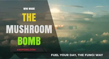 The Mushroom Cloud: Who Created the Bomb?