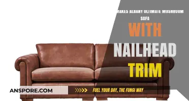 Discovering the Craftsmanship Behind Albany's Ultimate Mushroom Sofa Design