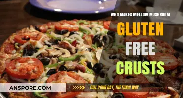 Who Crafts Mellow Mushroom's Gluten-Free Crusts? A Tasty Exploration