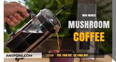 Discovering the Makers Behind the Rise of Mushroom Coffee