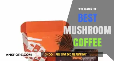 Discovering the Top Brands for the Best Mushroom Coffee Experience