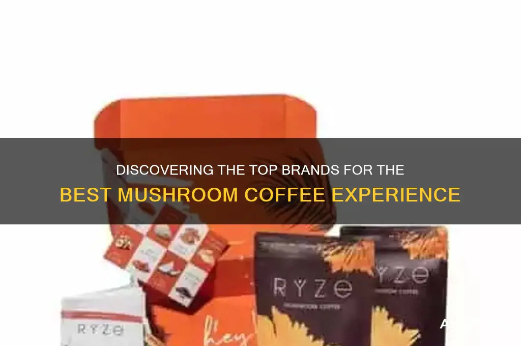 who makes the best mushroom coffee