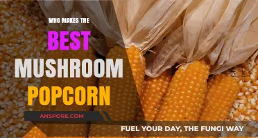 Discover the Top Brand for Irresistible Mushroom Popcorn Delight