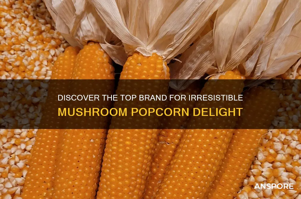 who makes the best mushroom popcorn