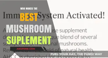 Top Mushroom Supplement Brands: Unveiling the Best for Optimal Health
