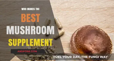 Discovering the Top Mushroom Supplement Brands for Optimal Health