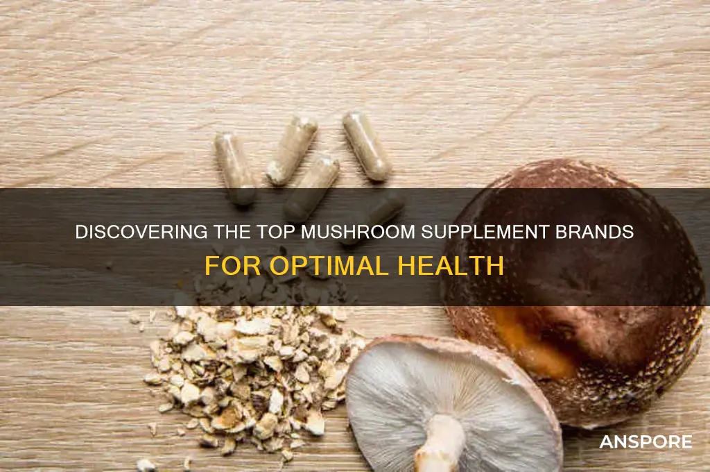 who makes the best mushroom supplement