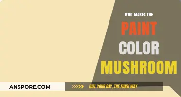 Discovering the Creators of Mushroom Paint Color: A Brand Overview