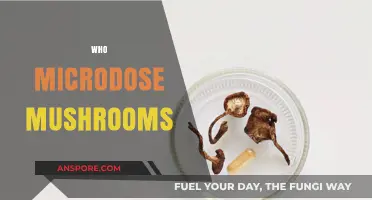 Microdosing Mushrooms: Who's Doing It and Why?